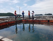 양식생물 현장 조사