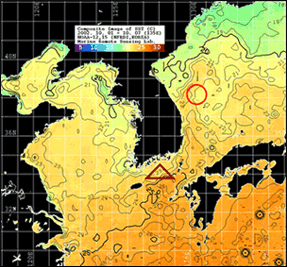 NOAA 위성 AVHRR 자료를 이용한 동북아 해역해수면 온도 분석 예시 사진