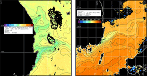 NOAA 위성 AVHRR 자료 해수면 온도 분석에 의한 남동해안 냉수대 발생감시 예시 사진