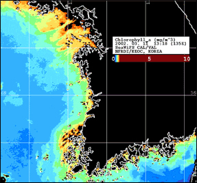 Ord View-2 위성 SeaWiPS 자료를 이용한 한반도 근해 클로로필-a 농도 분포 분석 예시 사진