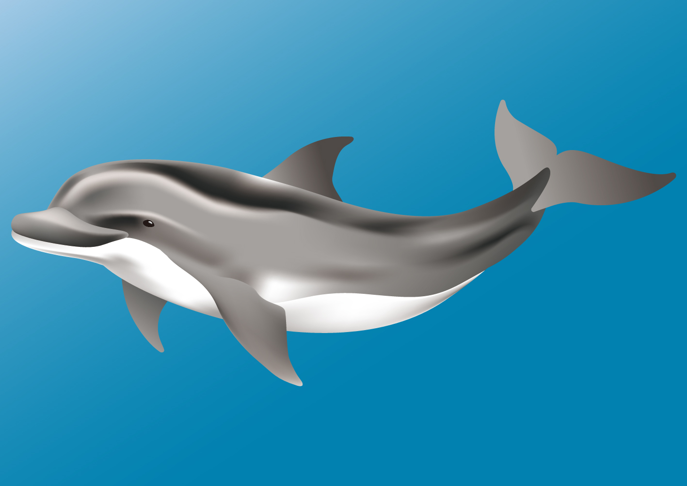 전체 모습 사진