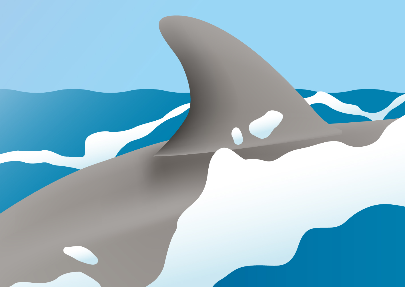 가까워서 안보이는 사진